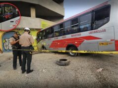 Ruta sangrienta en el transporte