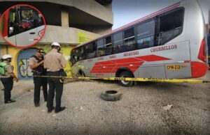 Ruta sangrienta en el transporte