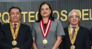 Ofrece apoyo técnico para zonas afectadas por desastres naturales