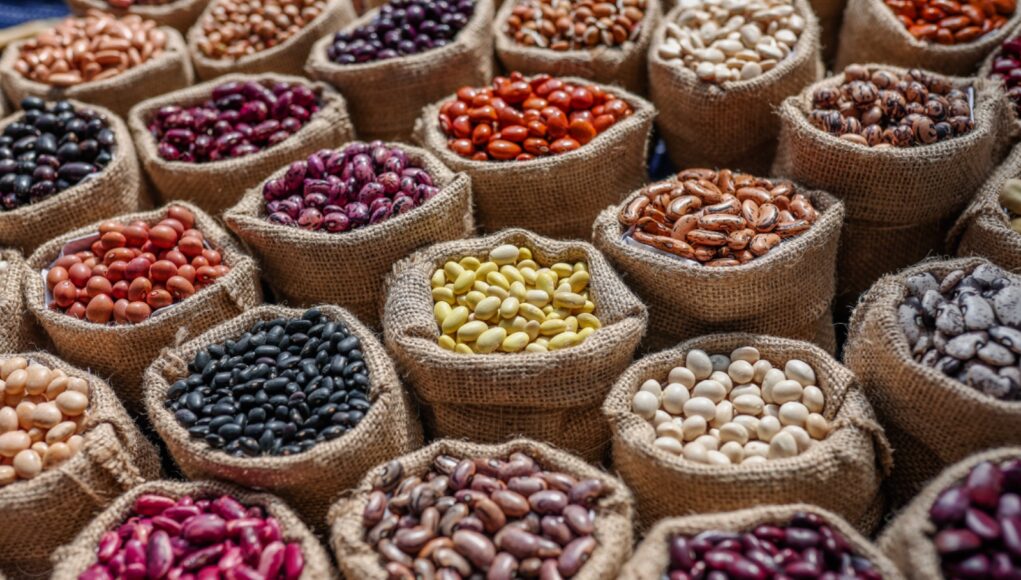 Día Mundial de las Legumbres: MIDAGRI impulsa el desarrollo de más de 140 mil familias peruanas que producen estos superalimentos