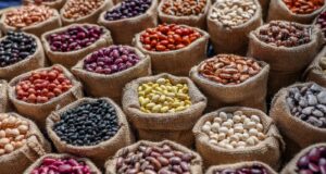 Día Mundial de las Legumbres: MIDAGRI impulsa el desarrollo de más de 140 mil familias peruanas que producen estos superalimentos