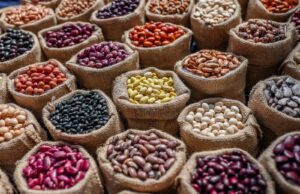 Día Mundial de las Legumbres: MIDAGRI impulsa el desarrollo de más de 140 mil familias peruanas que producen estos superalimentos