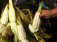 MIDAGRI: ABASTECIMIENTO DE ALIMENTOS EN MERCADOS MAYORISTAS DE LIMA SE MANTIENE CON NORMALIDAD