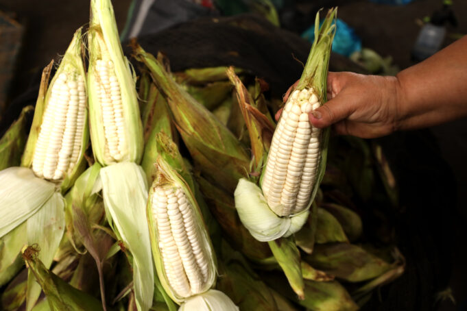MIDAGRI: ABASTECIMIENTO DE ALIMENTOS EN MERCADOS MAYORISTAS DE LIMA SE MANTIENE CON NORMALIDAD