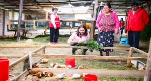 Midis promueve cerca de 64 000 emprendimientos de usuarios de sus programas sociales a nivel nacional