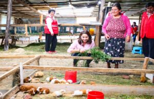 Midis promueve cerca de 64 000 emprendimientos de usuarios de sus programas sociales a nivel nacional