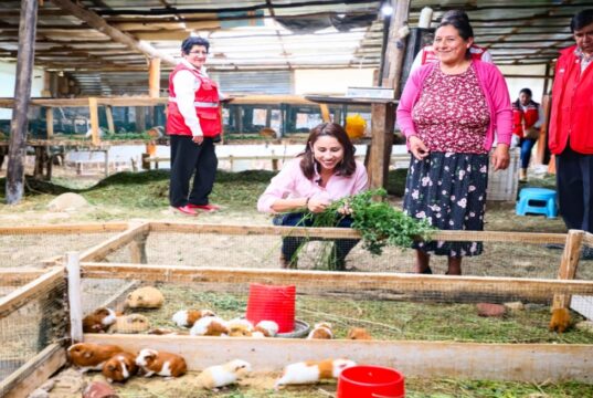 Midis promueve cerca de 64 000 emprendimientos de usuarios de sus programas sociales a nivel nacional