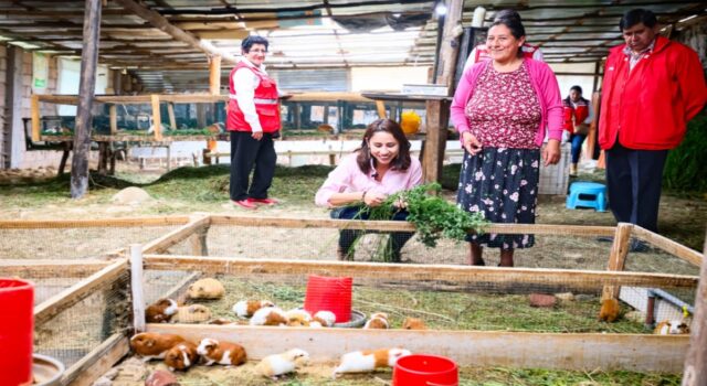 Midis promueve cerca de 64 000 emprendimientos de usuarios de sus programas sociales a nivel nacional