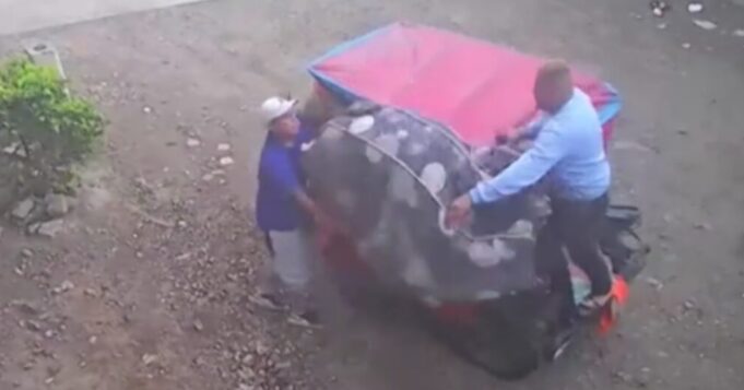 SMP: dictan 18 meses de prisión contra extranjeros que asesinaron y arrojaron a mujer dentro de un colchón