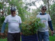 Reforestan 1,000 árboles nativos para recuperar ecosistemas degradados en Oxapampa