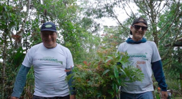 Reforestan 1,000 árboles nativos para recuperar ecosistemas degradados en Oxapampa