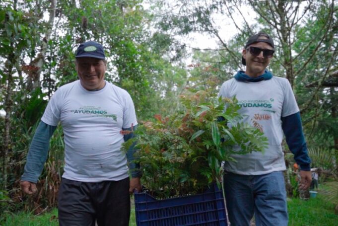 Reforestan 1,000 árboles nativos para recuperar ecosistemas degradados en Oxapampa
