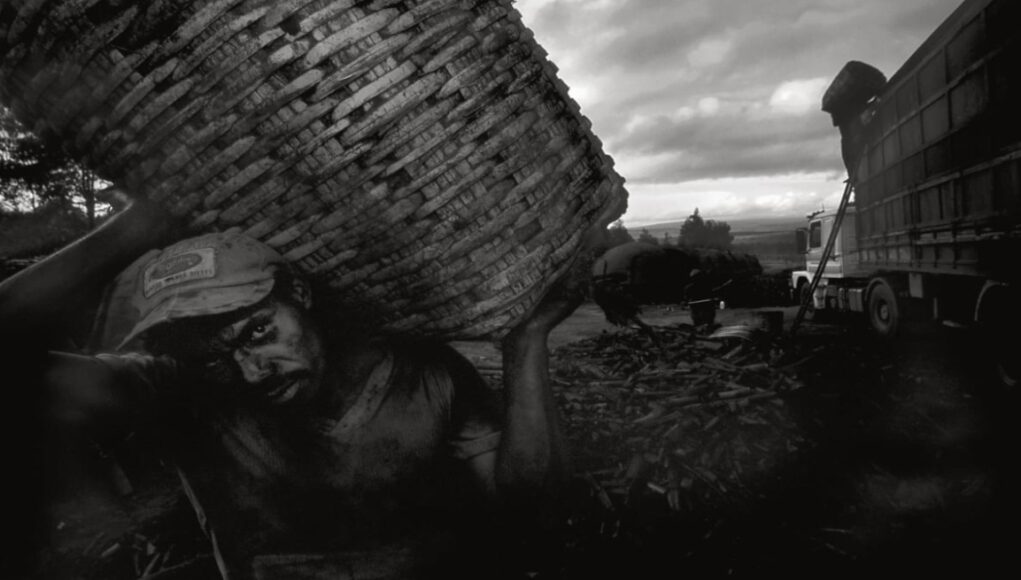 Perú registra casi 400 denuncias por trabajo forzoso y el Estado refuerza su respuesta