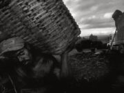 Perú registra casi 400 denuncias por trabajo forzoso y el Estado refuerza su respuesta