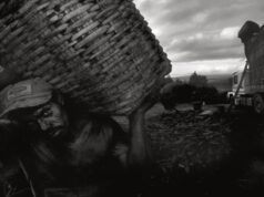 Perú registra casi 400 denuncias por trabajo forzoso y el Estado refuerza su respuesta