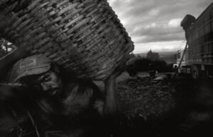 Perú registra casi 400 denuncias por trabajo forzoso y el Estado refuerza su respuesta