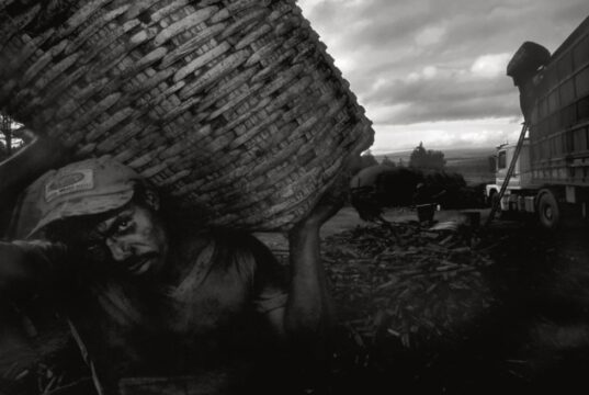 Perú registra casi 400 denuncias por trabajo forzoso y el Estado refuerza su respuesta