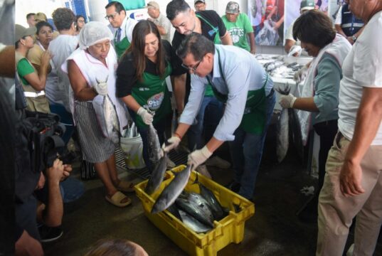 Más de mil familias vulnerables de Chorrillos reciben pescado fresco gratis para combatir la anemia gracias a campaña «Ollas sin anemia»