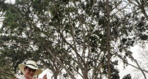 Camila Diez Canseco sigue los pasos de su padre Brad Pizza