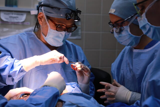 WhatsApp Image 2026-02-18 at 6.30.51 PM (2)