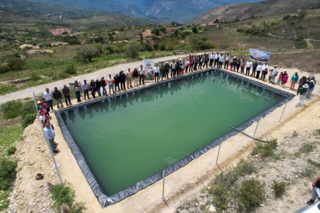 WhatsApp Image 2026-02-24 at 4.40.50 PM (1)