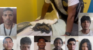 Golpe contundente a la criminalidad